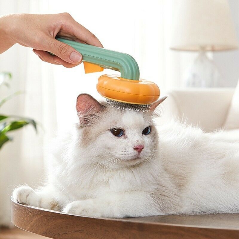 Furry Delight