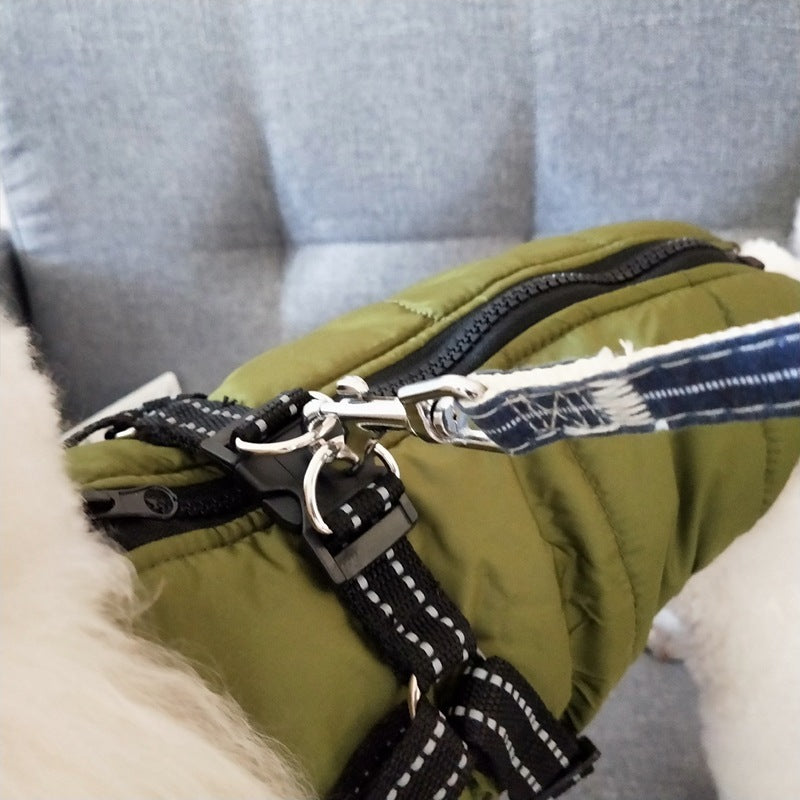 Furry Delight