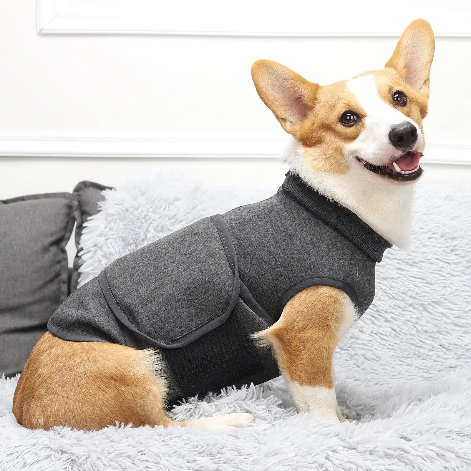 Furry Delight