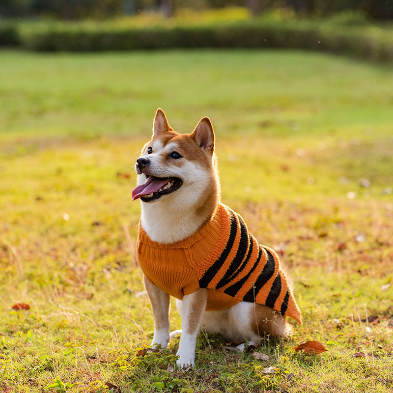 Furry Delight
