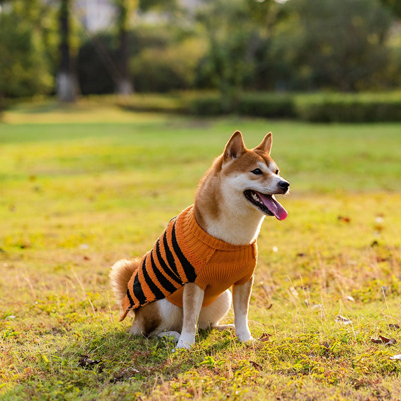 Furry Delight