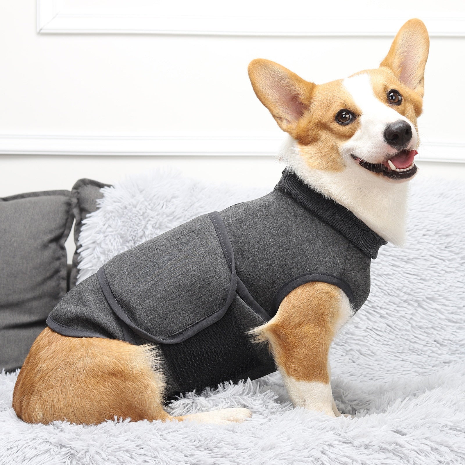Soothing Clothes Anti-scare Pet Mood Soothing Clothes